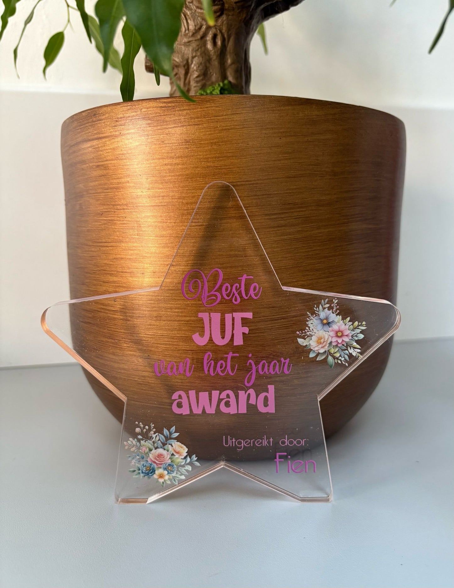 Award Meester/Juf